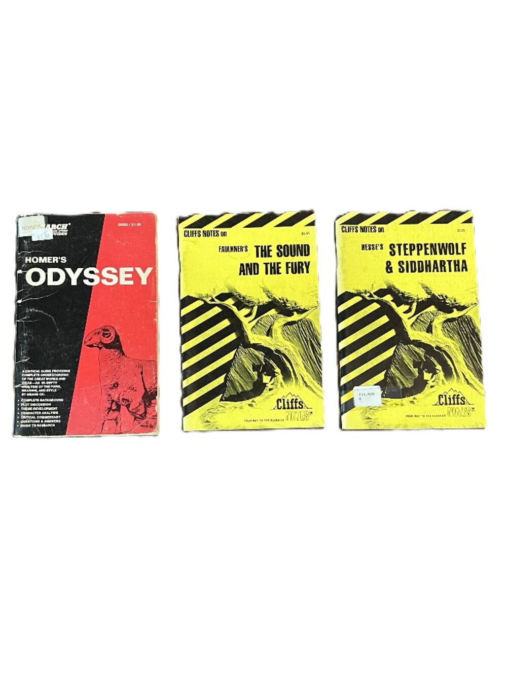 Cliff Notes: Odyssey, The Sound & The Fury, Steppenwolf & Siddhartha, Softcover